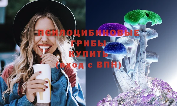 бошки Вяземский