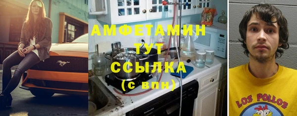 ГАЛЛЮЦИНОГЕННЫЕ ГРИБЫ Туринск