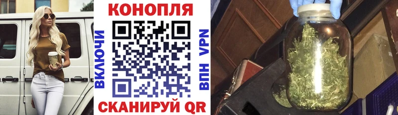 как найти Владикавказ МАРИХУАНА семена